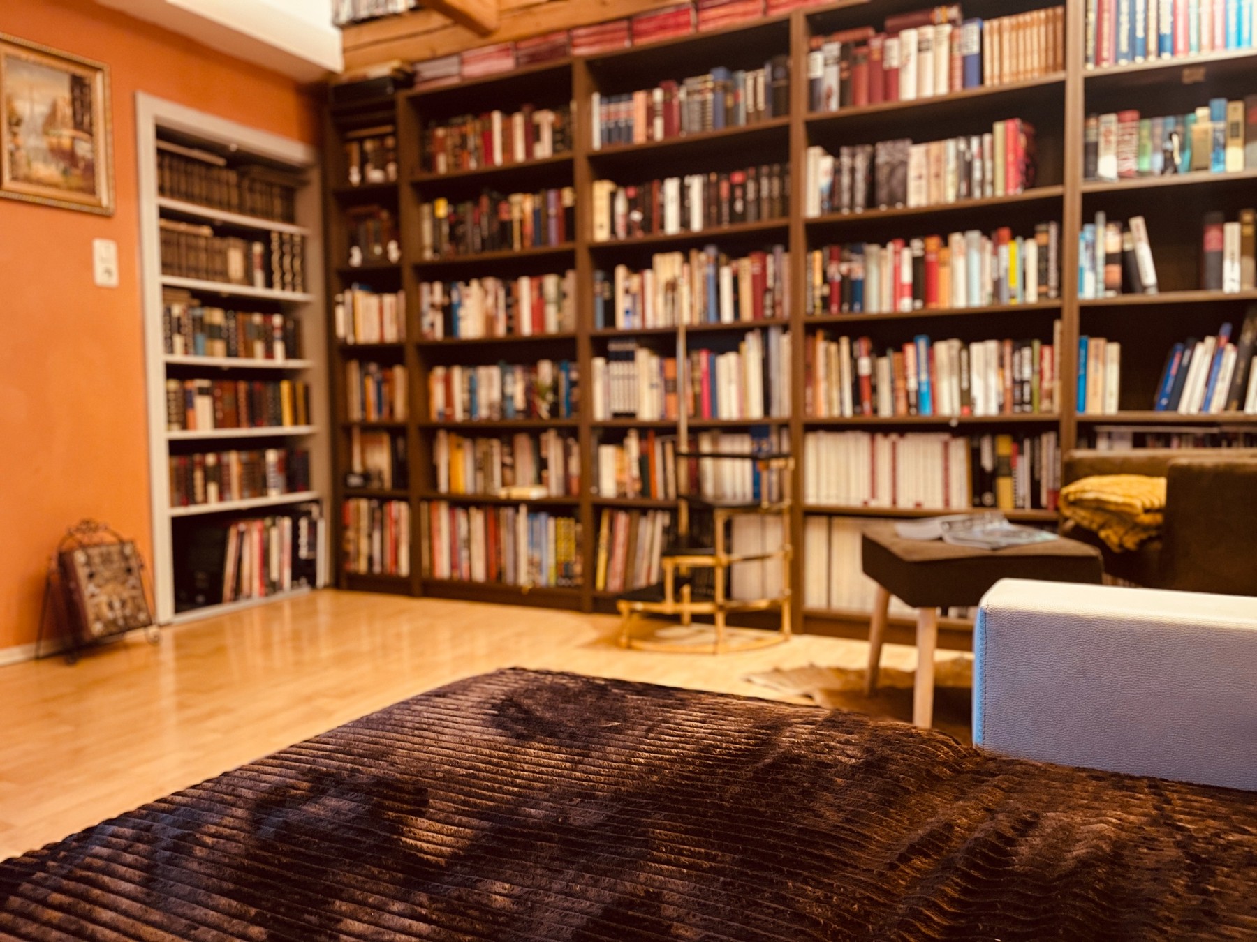 Die private Bibliothek von Jürgen Baur mit großen Bücherregalen